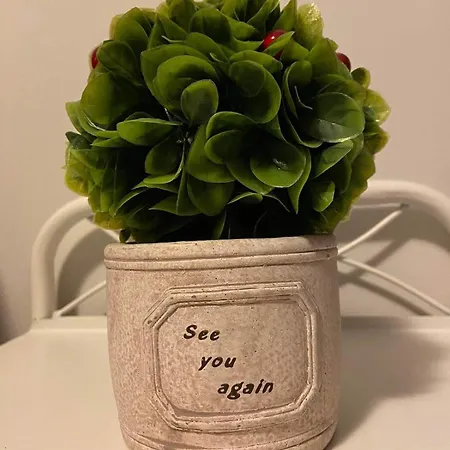 Angel's Apartamento *